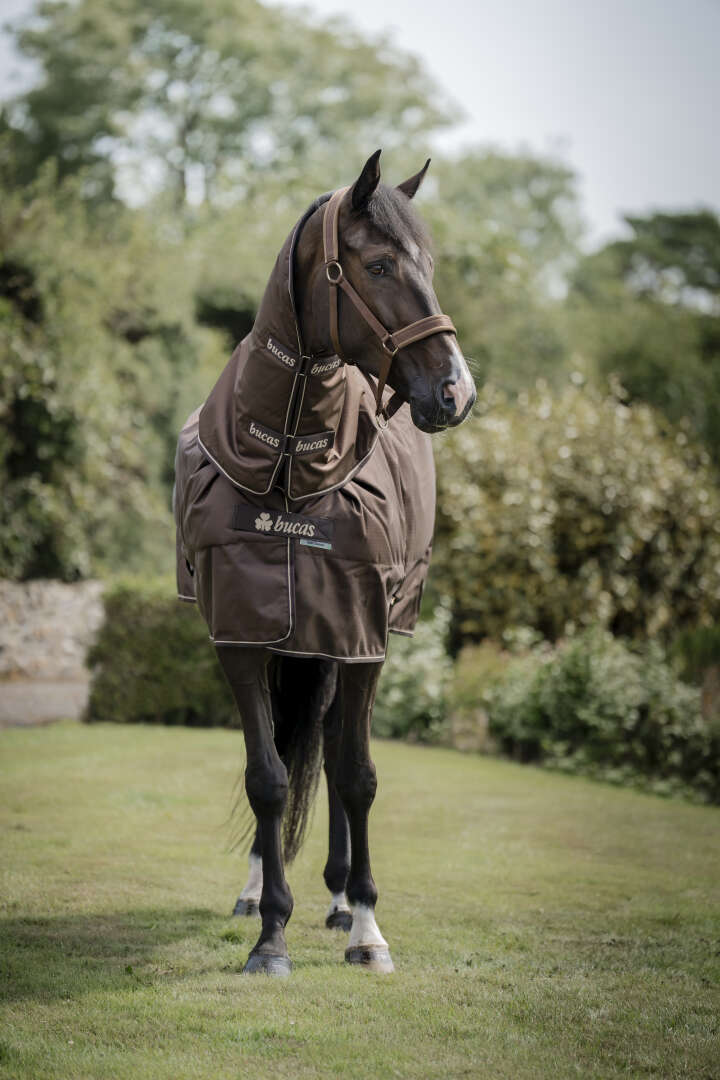 bucas Outdoordecke Irish Turnout & Neck 300 g Espresso